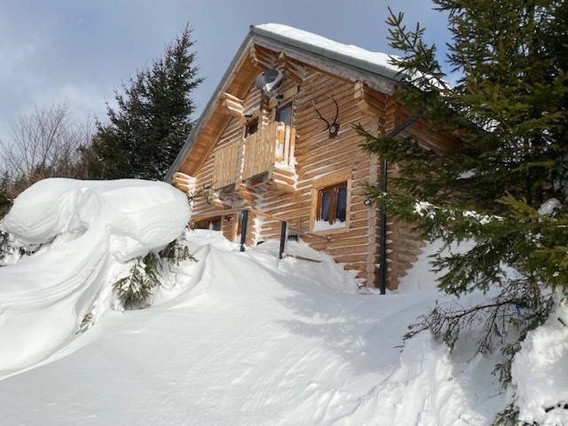 Alpenchalet Grabner Alm Am Praebichl Almhauser Extérieur photo