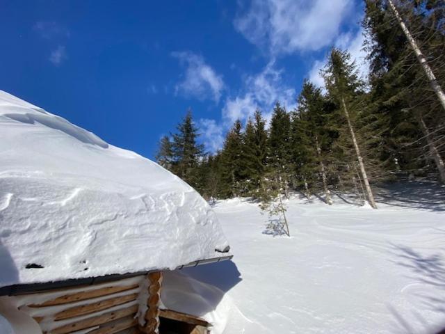Alpenchalet Grabner Alm Am Praebichl Almhauser Extérieur photo